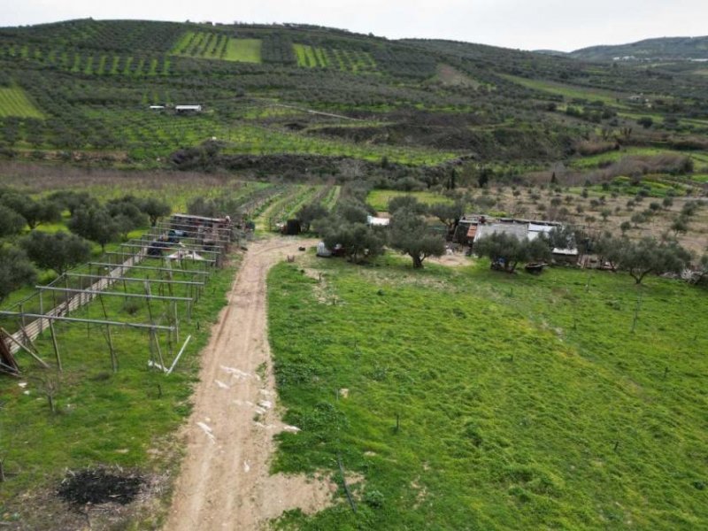 Agies Paraskies Kreta, Agies Paraskies: Großes Grundstück zu verkaufen Grundstück kaufen